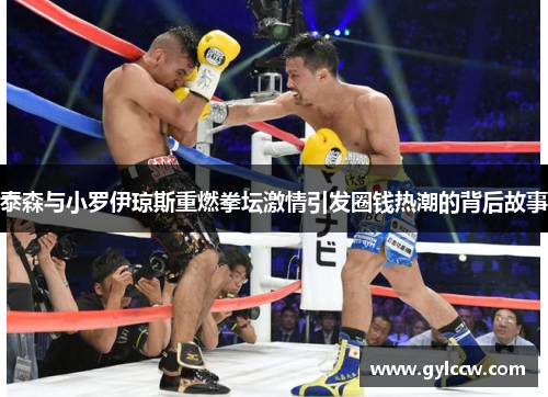 泰森与小罗伊琼斯重燃拳坛激情引发圈钱热潮的背后故事